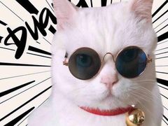 -麦当劳(盐城世纪大道得来速店)