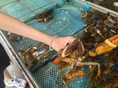 -盛华世家商业广场农贸水产综合批发市场