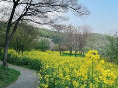 -苏州上方山国家森林公园