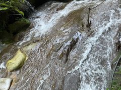 -桂林古东瀑布景区