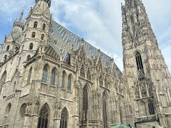 -斯蒂芬主教座堂(Stephansdom)