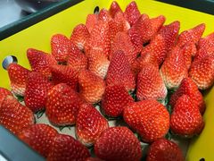 -江杨农产品批发市场