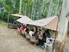 -桉树林A coffee 森林餐厅(三圣乡店)