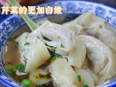 本地嫩芹菜鲜肉大馄饨-方老大馄饨(抚宁巷店)