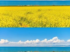 -青海湖国家重点风景名胜区