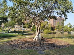 -北京师范大学(珠海校区)