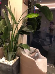 -杭州慧溪谷医疗美容诊所