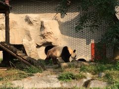 -仙芝竹尖生态园旅游景区