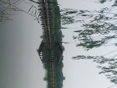 -溱湖国家湿地公园