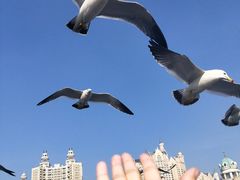 -川旺角川粤融合菜•海景餐厅(星海广场店)