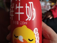 -一鸣真鲜奶吧(中央花园店)