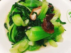 香菇菜心-全启和美食(由由店)