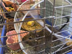 -藦茜花园宠物主题亲子互动体验馆(国顺东路店)