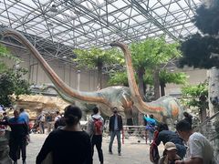 -国家自然博物馆