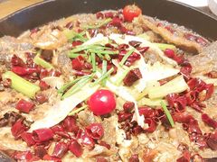 -老板恋上鱼(印象城店)