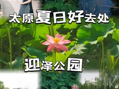 -迎泽公园
