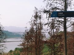 -金海湾滨江公园