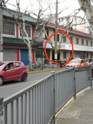-上海市宝山区妇幼保健所