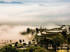 -枸杞岛
