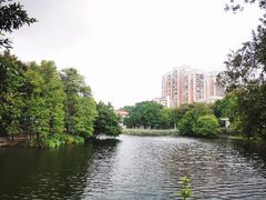 -荔湾湖公园