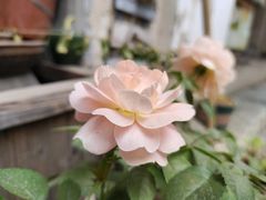-高淳老街