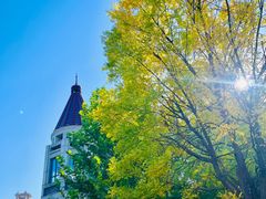 -天津五大道文化旅游区