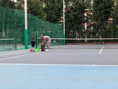 -网动网球培训(北京友谊宾馆校区)