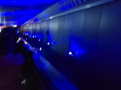 -白鹤梁水下博物馆
