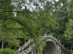 -深圳仙湖植物园