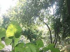 -融汇温泉