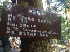 -海南槟榔谷黎苗文化旅游区