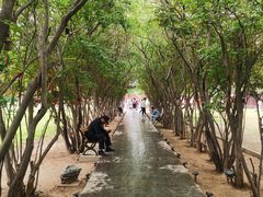 -汤阴县羑里周易博物馆