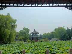 -莲池书院博物馆