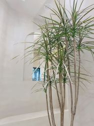 -Garden花園造型