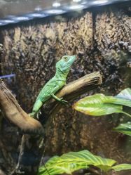 -酷嗒动物文化乐园(cutezoo西溪乐天城店)