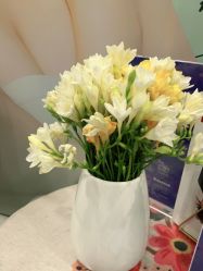 -联合丽格·张菡丽格医疗美容