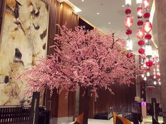 -扬州皇冠假日酒店