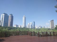 -万绿园