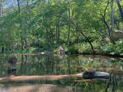 -玉渡山自然风景区