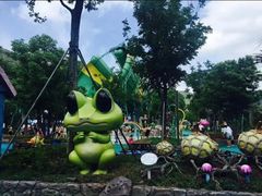 -苏州乐园森林水世界