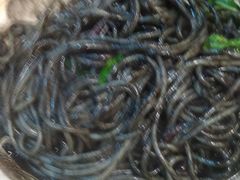 -萨莉亚意式餐厅(国和1000店)