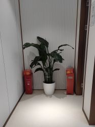 -禾丽康美医疗美容医院