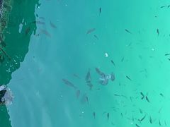 -蓝湾碧波·老字号·疍家非遗海上餐厅