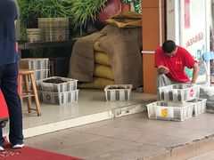 -阿男野栗王(金门路店)