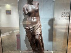 -上海海洋水族馆