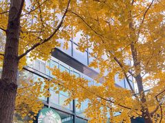 -星巴克(前滩世贸中心店)