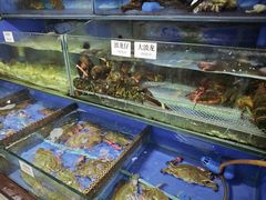 -张树军海鲜(王府壹号店)