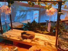 -地球美食剧场