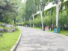 -丰台花园