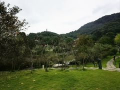 -桃花岭景区